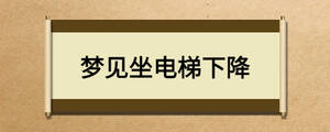 /nameask/28083.html