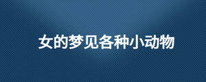 /nameask/28169.html