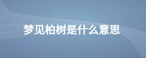 梦见柏树是什么意思