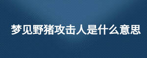/nameask/28140.html