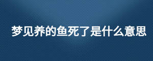 /nameask/28129.html