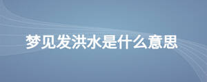 /nameask/28163.html