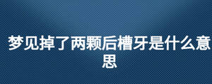 /nameask/28193.html
