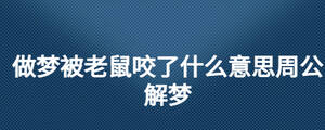做梦被老鼠咬了什么意思周公解梦