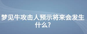 /nameask/28211.html