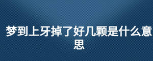 /nameask/28179.html