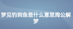 /nameask/28236.html
