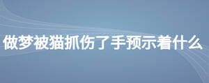 /nameask/28248.html