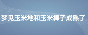 /nameask/28317.html