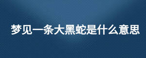 梦见一条大黑蛇是什么意思