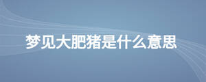 /nameask/28320.html