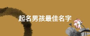 /nameask/28515.html