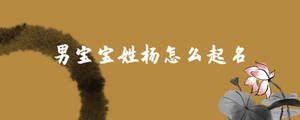 /nameask/28508.html