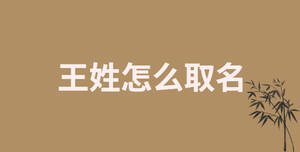 /nameask/28559.html