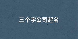 清新纯文字账号介绍抖音背景图封面 (1).zip