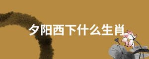 夕陽西下打一生肖