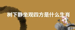 起名 (11).jpg
