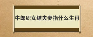 问答 (10).jpg