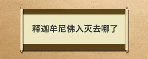 /nameask/28666.html