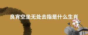 /nameask/28671.html