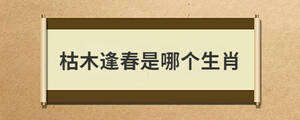 问答 (23).jpg