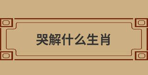 /nameask/28736.html