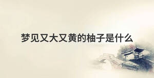 传统 (20).jpg