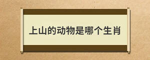 问答 (32).jpg