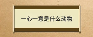 /nameask/28750.html