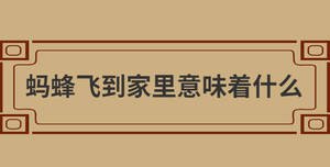 /nameask/28749.html