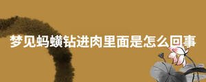/nameask/28814.html