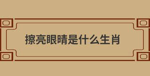 擦亮眼晴是什么生肖