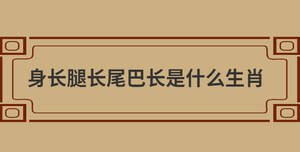 /nameask/28837.html