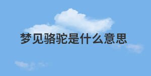/nameask/28811.html