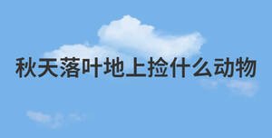 /nameask/28836.html