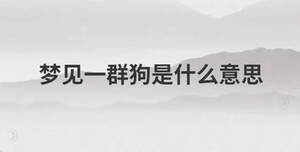 /nameask/28875.html
