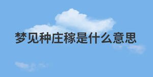 简约蓝色背景 (17).jpg