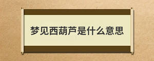 /nameask/28880.html