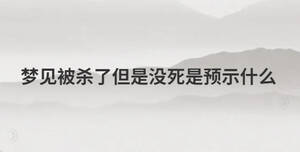 /nameask/28925.html