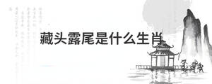 /nameask/28894.html