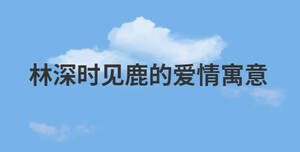 /nameask/28927.html