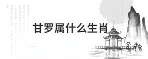背景图 (14).jpg