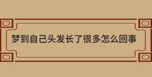 /nameask/28971.html