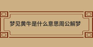 /nameask/28973.html