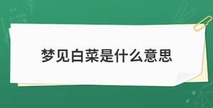 开学季 (14).jpg