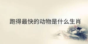 /nameask/28982.html