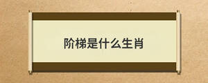 /nameask/28985.html