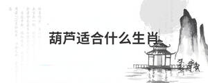 背景图 (36).jpg