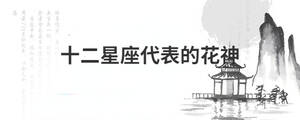 背景图 (35).jpg