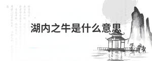 /nameask/29022.html